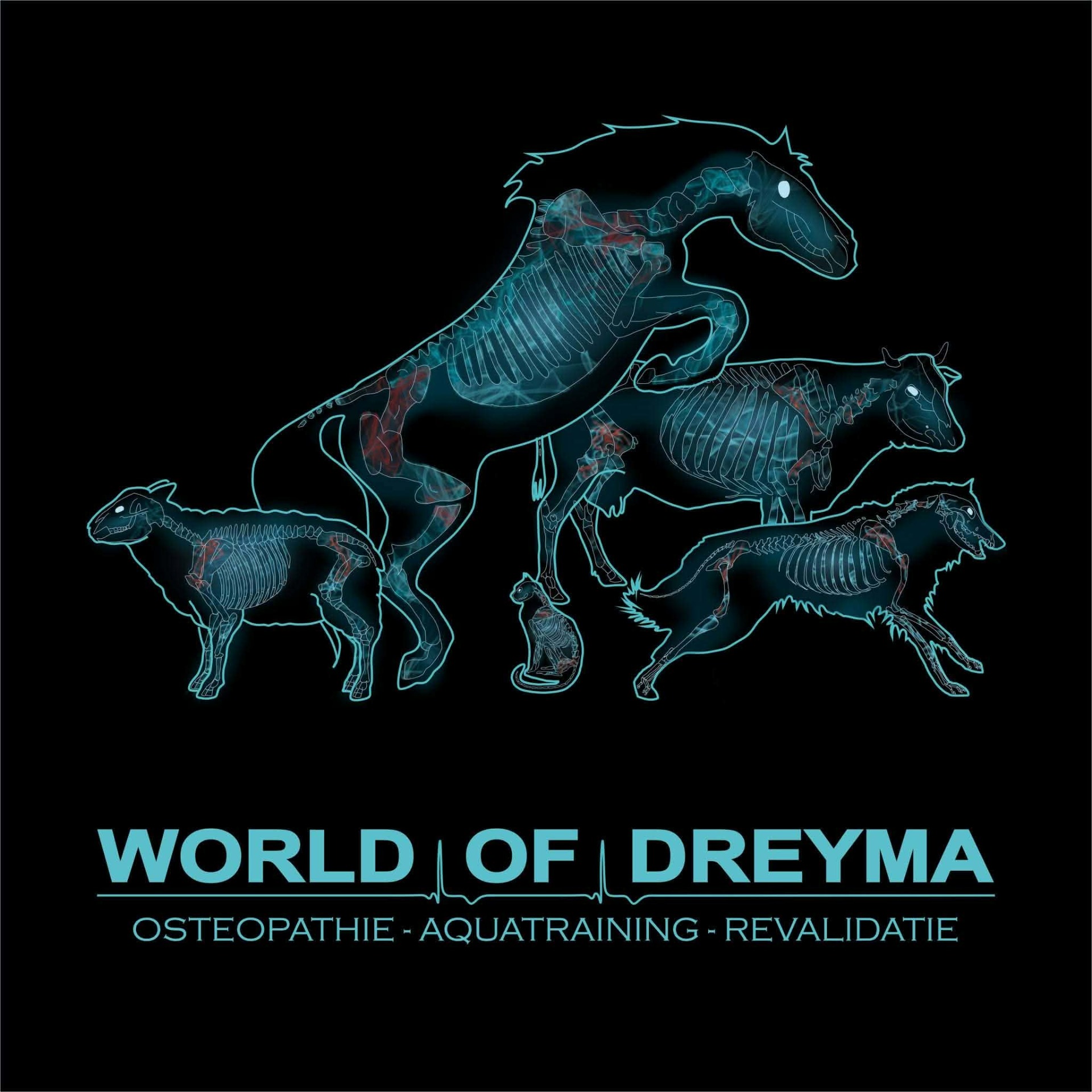 World Of Dreyma